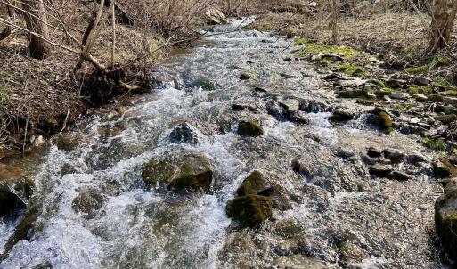 Photo #49 of Off White Rock Gap Rd, Covington, VA 302.9 acres