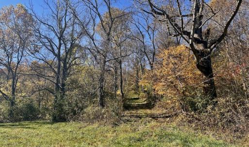 Photo #53 of Off White Rock Gap Rd, Covington, VA 302.9 acres