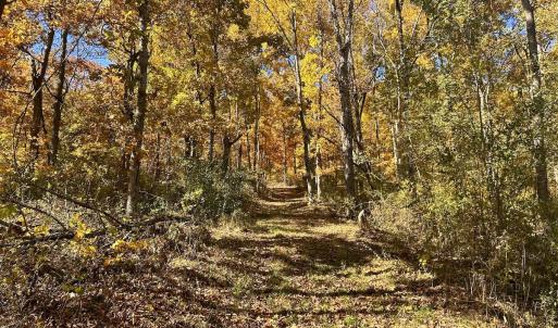 Photo #54 of Off White Rock Gap Rd, Covington, VA 302.9 acres