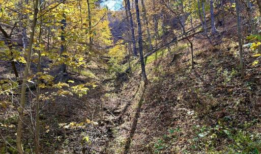 Photo #55 of Off White Rock Gap Rd, Covington, VA 302.9 acres