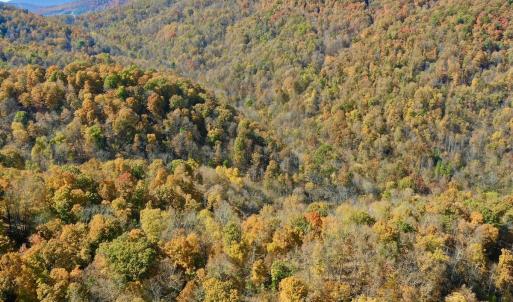 Photo #58 of Off White Rock Gap Rd, Covington, VA 302.9 acres
