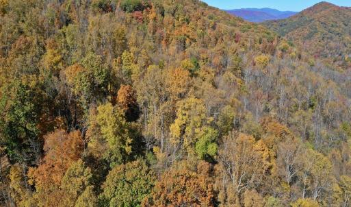 Photo #59 of Off White Rock Gap Rd, Covington, VA 302.9 acres