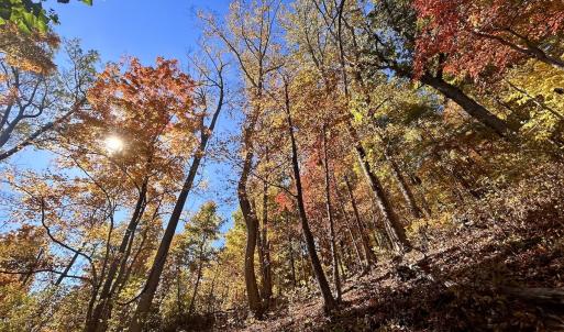 Photo #60 of Off White Rock Gap Rd, Covington, VA 302.9 acres