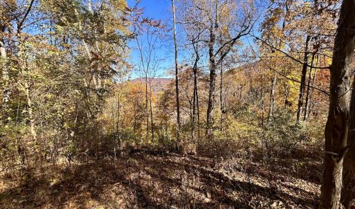 Photo #61 of Off White Rock Gap Rd, Covington, VA 302.9 acres
