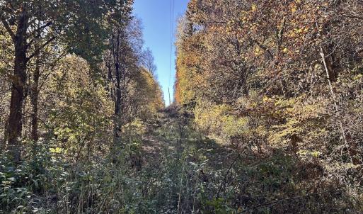 Photo #62 of Off White Rock Gap Rd, Covington, VA 302.9 acres