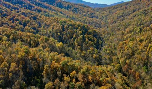 Photo #64 of Off White Rock Gap Rd, Covington, VA 302.9 acres