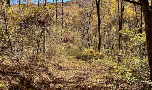 Photo #65 of Off White Rock Gap Rd, Covington, VA 302.9 acres