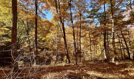 Photo #67 of Off White Rock Gap Rd, Covington, VA 302.9 acres