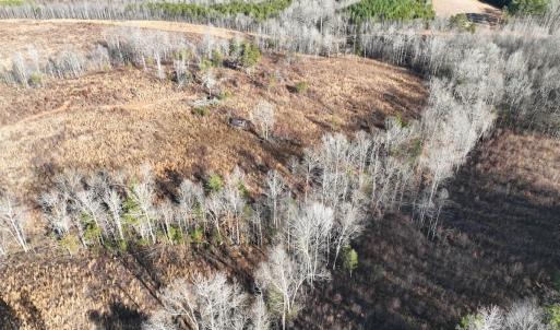 Photo #2 of Off of Green Level Road, Scottsburg, VA 153.4 acres