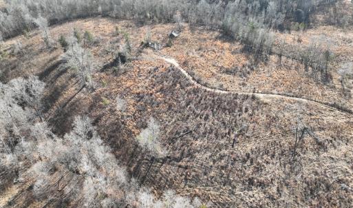 Photo #9 of Off of Green Level Road, Scottsburg, VA 153.4 acres
