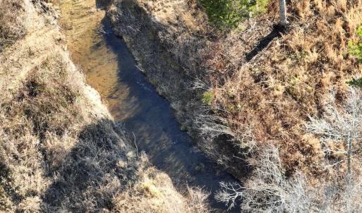 Photo #12 of Off of Green Level Road, Scottsburg, VA 153.4 acres