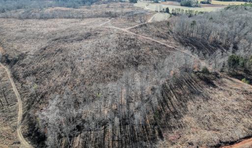 Photo #13 of Off of Green Level Road, Scottsburg, VA 153.4 acres