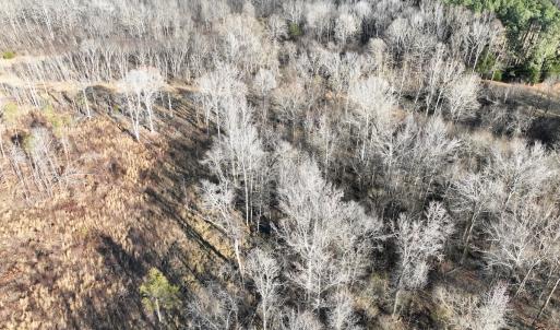 Photo #14 of Off of Green Level Road, Scottsburg, VA 153.4 acres