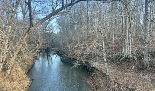 Photo #4 of Off of Green Level Road, Scottsburg, VA 153.4 acres