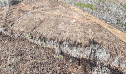 Photo #5 of Off of Green Level Road, Scottsburg, VA 153.4 acres