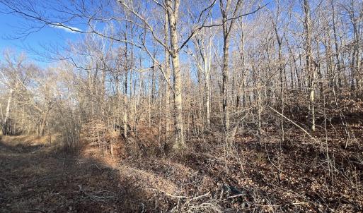 Photo #6 of Off of Green Level Road, Scottsburg, VA 153.4 acres