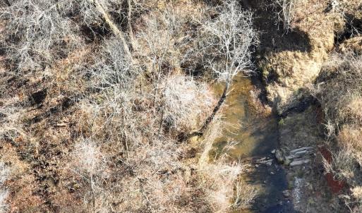 Photo #20 of Off of Green Level Road, Scottsburg, VA 153.4 acres