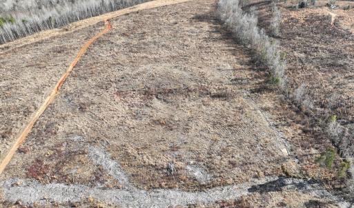 Photo #24 of Off of Green Level Road, Scottsburg, VA 153.4 acres