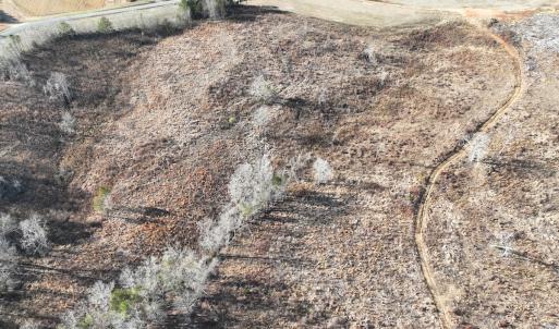 Photo #26 of Off of Green Level Road, Scottsburg, VA 153.4 acres