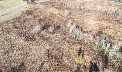 Photo #37 of Off of Green Level Road, Scottsburg, VA 153.4 acres