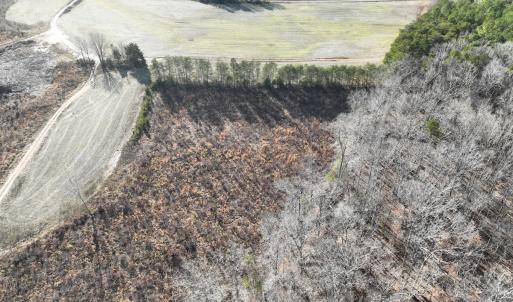 Photo #21 of Off of Green Level Road, Scottsburg, VA 153.4 acres