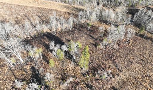 Photo #41 of Off of Green Level Road, Scottsburg, VA 153.4 acres