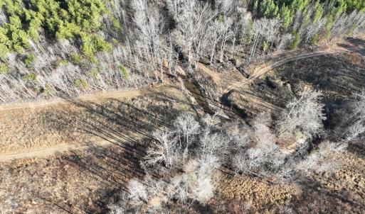 Photo #42 of Off of Green Level Road, Scottsburg, VA 153.4 acres