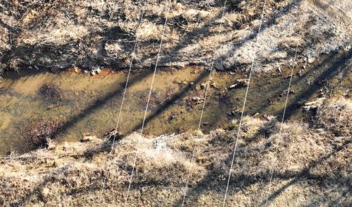Photo #43 of Off of Green Level Road, Scottsburg, VA 153.4 acres
