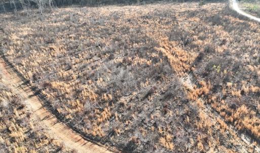 Photo #46 of Off of Green Level Road, Scottsburg, VA 153.4 acres
