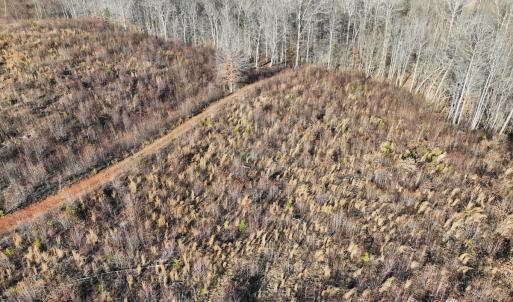 Photo #48 of Off of Green Level Road, Scottsburg, VA 153.4 acres