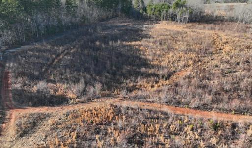 Photo #49 of Off of Green Level Road, Scottsburg, VA 153.4 acres