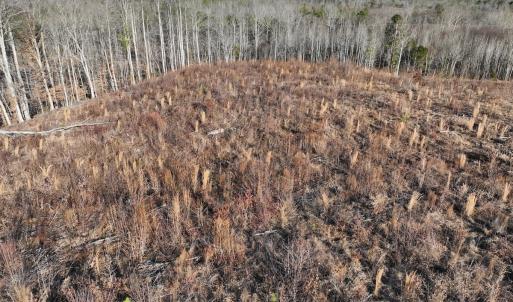 Photo #52 of Off of Green Level Road, Scottsburg, VA 153.4 acres
