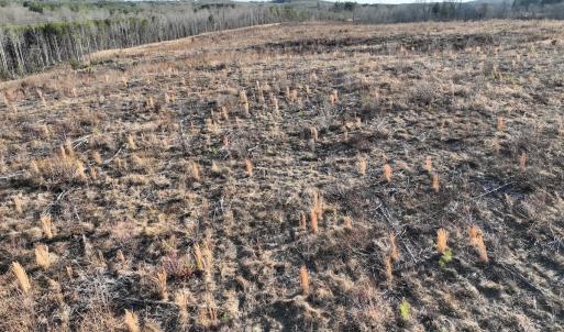 Photo #53 of Off of Green Level Road, Scottsburg, VA 153.4 acres