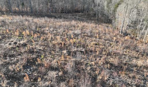 Photo #54 of Off of Green Level Road, Scottsburg, VA 153.4 acres