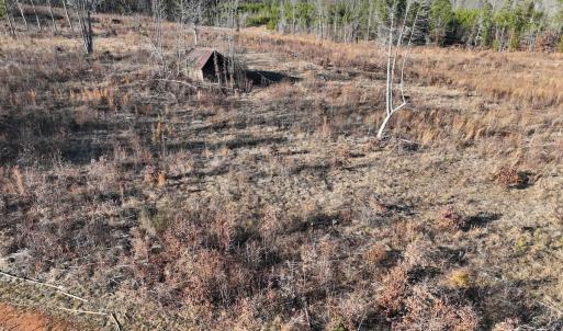 Photo #56 of Off of Green Level Road, Scottsburg, VA 153.4 acres