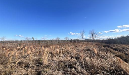 Photo #58 of Off of Green Level Road, Scottsburg, VA 153.4 acres