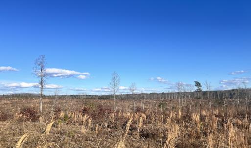 Photo #59 of Off of Green Level Road, Scottsburg, VA 153.4 acres