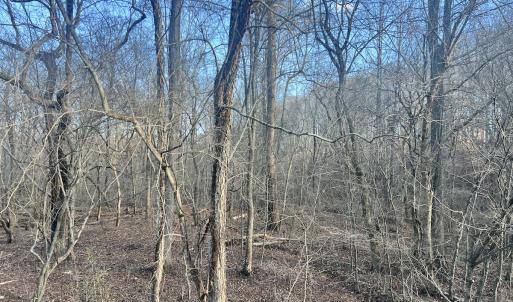 Photo #60 of Off of Green Level Road, Scottsburg, VA 153.4 acres