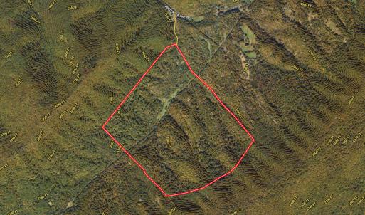 Photo #71 of Off White Rock Gap Rd, Covington, VA 302.9 acres
