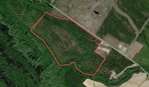 Photo #1 of SOLD property in Off River Rd, Vanceboro, NC 81.5 acres