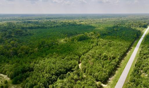 Photo #2 of SOLD property in Off River Rd, Vanceboro, NC 81.5 acres
