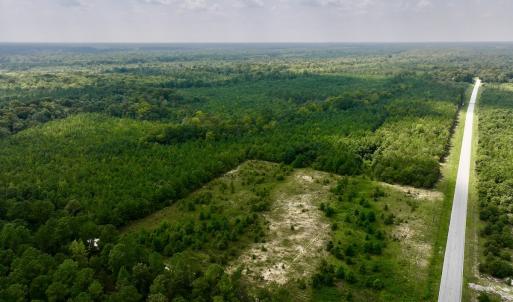 Photo #13 of SOLD property in Off River Rd, Vanceboro, NC 81.5 acres