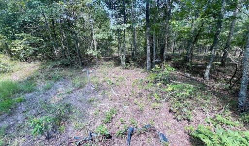 Photo #20 of SOLD property in Off River Rd, Vanceboro, NC 81.5 acres