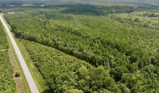 Photo #3 of SOLD property in Off River Rd, Vanceboro, NC 81.5 acres