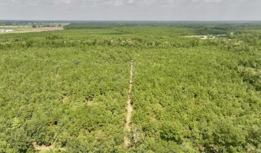 Photo #8 of SOLD property in Off River Rd, Vanceboro, NC 81.5 acres