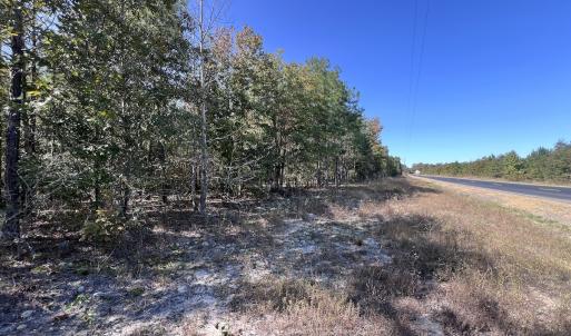 Photo #22 of SOLD property in Off River Rd, Vanceboro, NC 81.5 acres