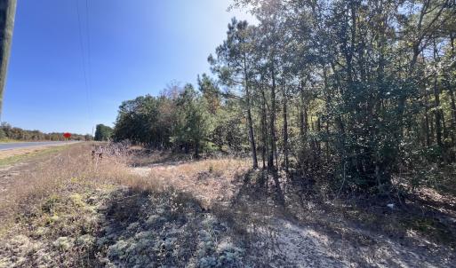 Photo #23 of SOLD property in Off River Rd, Vanceboro, NC 81.5 acres