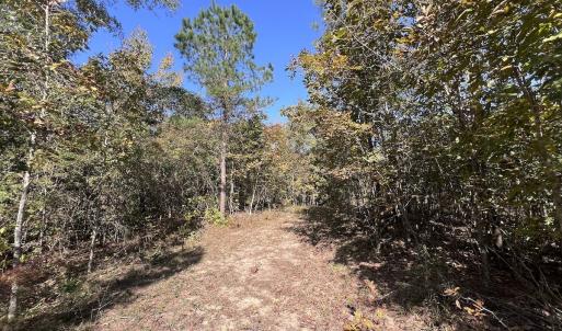 Photo #26 of SOLD property in Off River Rd, Vanceboro, NC 81.5 acres