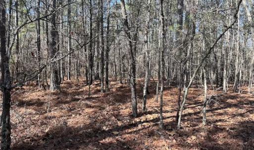 Photo #10 of North Forsythe Ln, Cameron, NC 4.6 acres