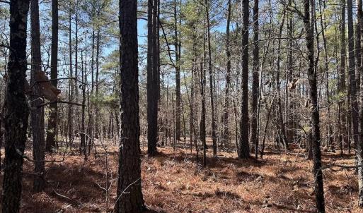 Photo #12 of North Forsythe Ln, Cameron, NC 4.6 acres